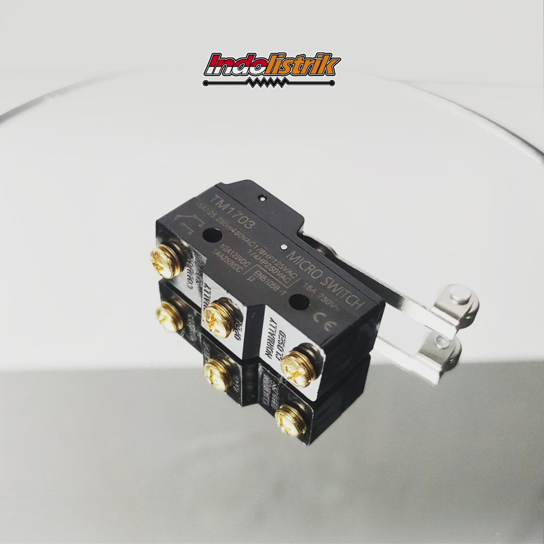 TAB Limit Switch TM1703 Roller Lever 15A 250V Micro Switch NO NC